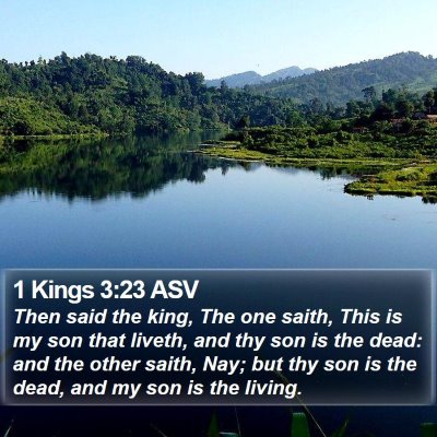 1 Kings 3:23 ASV Bible Verse Image