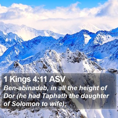 1 Kings 4:11 ASV Bible Verse Image