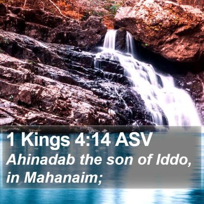 1 Kings 4:14 ASV Bible Verse Image