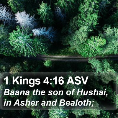 1 Kings 4:16 ASV Bible Verse Image