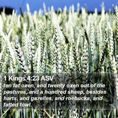 1 Kings 4:23 ASV Bible Verse Image