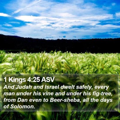 1 Kings 4:25 ASV Bible Verse Image