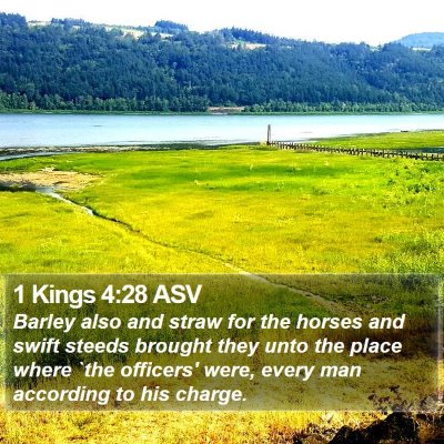 1 Kings 4:28 ASV Bible Verse Image