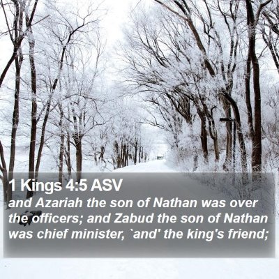 1 Kings 4:5 ASV Bible Verse Image
