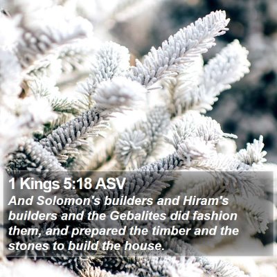 1 Kings 5:18 ASV Bible Verse Image