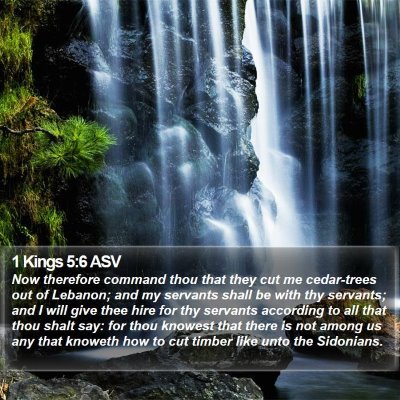1 Kings 5:6 ASV Bible Verse Image