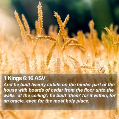 1 Kings 6:16 ASV Bible Verse Image