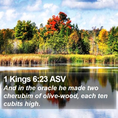 1 Kings 6:23 ASV Bible Verse Image