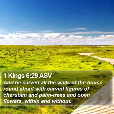 1 Kings 6:29 ASV Bible Verse Image