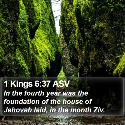 1 Kings 6:37 ASV Bible Verse Image