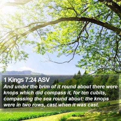 1 Kings 7:24 ASV Bible Verse Image