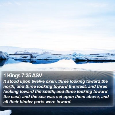 1 Kings 7:25 ASV Bible Verse Image
