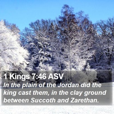 1 Kings 7:46 ASV Bible Verse Image