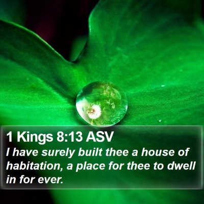 1 Kings 8:13 ASV Bible Verse Image