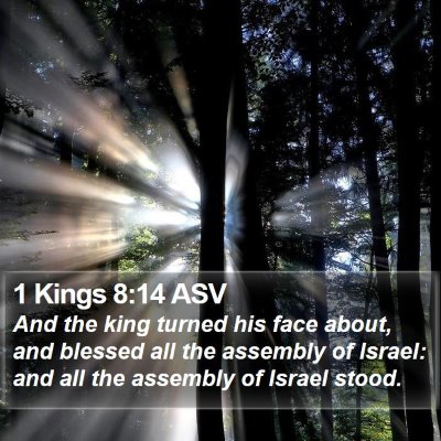 1 Kings 8:14 ASV Bible Verse Image