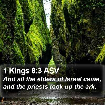 1 Kings 8:3 ASV Bible Verse Image