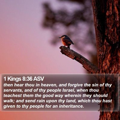 1 Kings 8:36 ASV Bible Verse Image