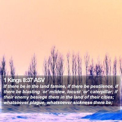 1 Kings 8:37 ASV Bible Verse Image