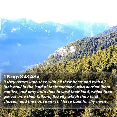 1 Kings 8:48 ASV Bible Verse Image