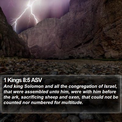 1 Kings 8:5 ASV Bible Verse Image