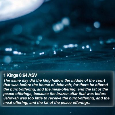 1 Kings 8:64 ASV Bible Verse Image