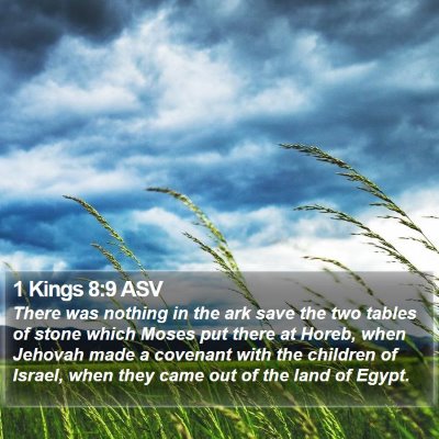 1 Kings 8:9 ASV Bible Verse Image