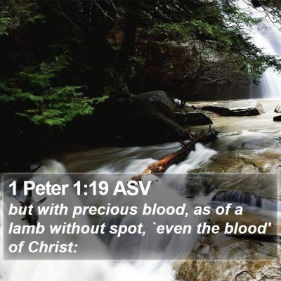 1 Peter 1:19 ASV Bible Verse Image