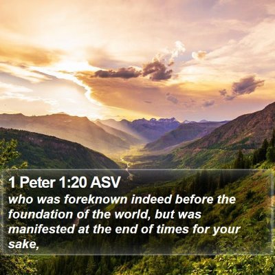 1 Peter 1:20 ASV Bible Verse Image