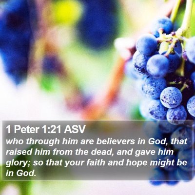 1 Peter 1:21 ASV Bible Verse Image