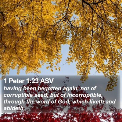 1 Peter 1:23 ASV Bible Verse Image