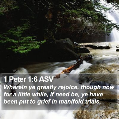 1 Peter 1:6 ASV Bible Verse Image