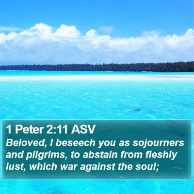 1 Peter 2:11 ASV Bible Verse Image