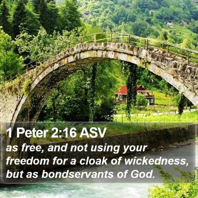 1 Peter 2:16 ASV Bible Verse Image