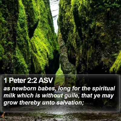 1 Peter 2:2 ASV Bible Verse Image