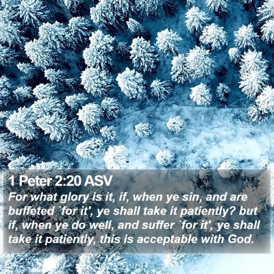 1 Peter 2:20 ASV Bible Verse Image
