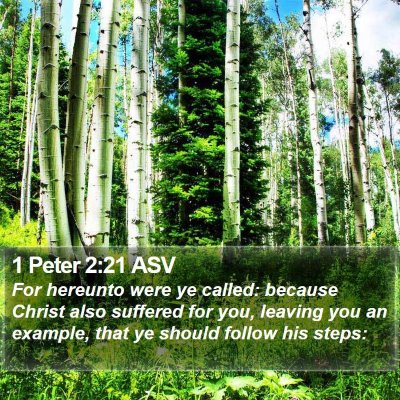 1 Peter 2:21 ASV Bible Verse Image