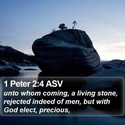 1 Peter 2:4 ASV Bible Verse Image