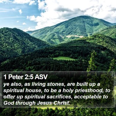 1 Peter 2:5 ASV Bible Verse Image