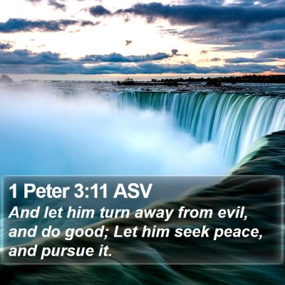 1 Peter 3:11 ASV Bible Verse Image