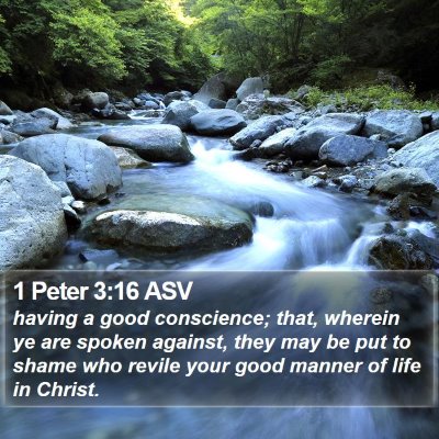 1 Peter 3:16 ASV Bible Verse Image