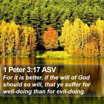 1 Peter 3:17 ASV Bible Verse Image