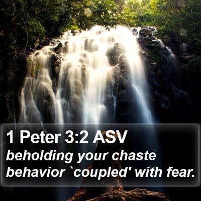 1 Peter 3:2 ASV Bible Verse Image