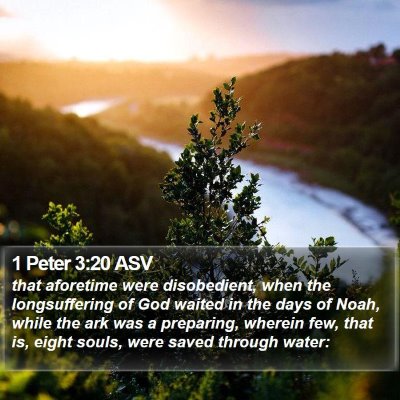 1 Peter 3:20 ASV Bible Verse Image