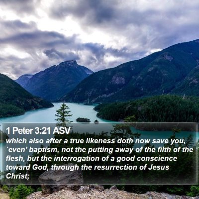 1 Peter 3:21 ASV Bible Verse Image