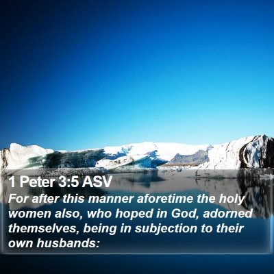 1 Peter 3:5 ASV Bible Verse Image