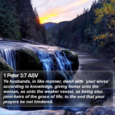 1 Peter 3:7 ASV Bible Verse Image