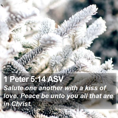 1 Peter 5:14 ASV Bible Verse Image