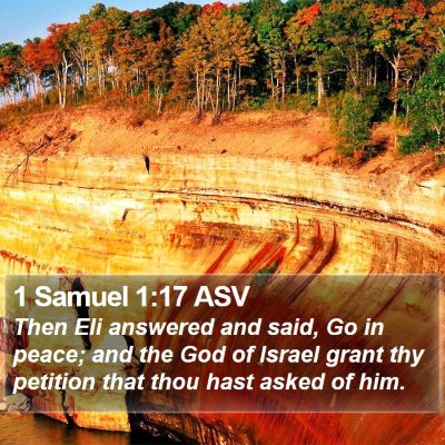 1 Samuel 1:17 ASV Bible Verse Image