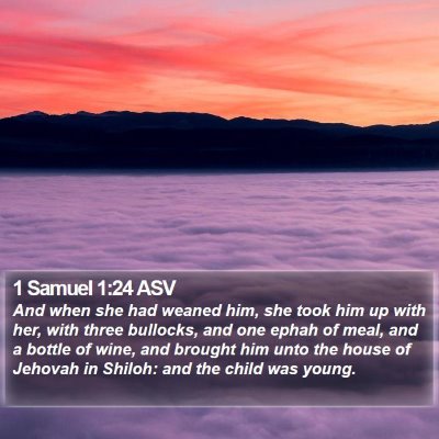 1 Samuel 1:24 ASV Bible Verse Image