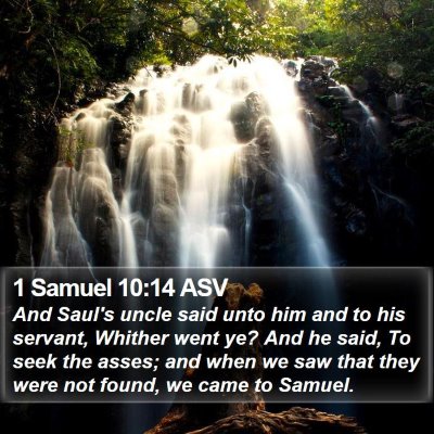1 Samuel 10:14 ASV Bible Verse Image
